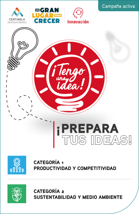 Card-Detalle-446-686